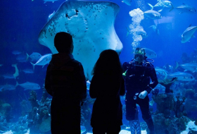 Cool place of the day: The Deep, Hull